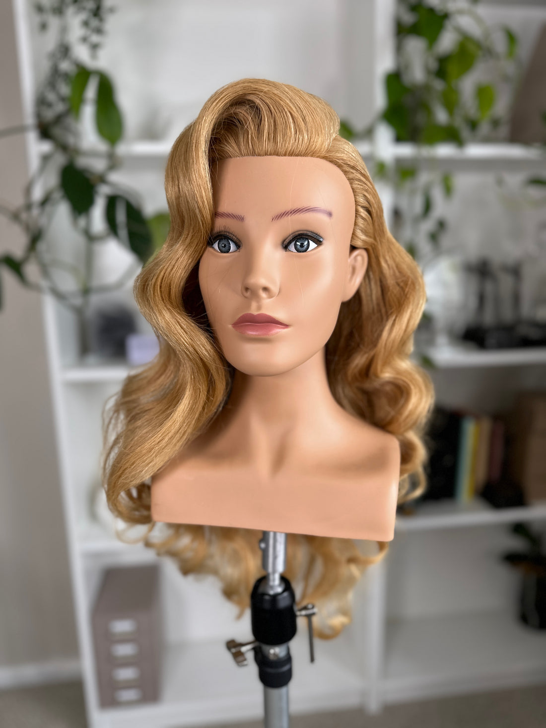 Mannequin Head &amp; Gifts